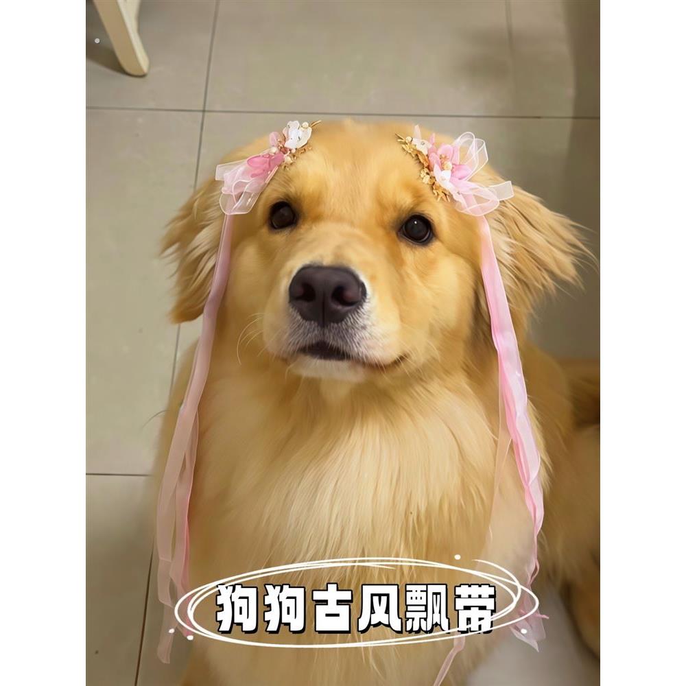 狗狗发饰国风仙气流苏发夹超长飘带发卡公主风丝带中国式宠物配饰