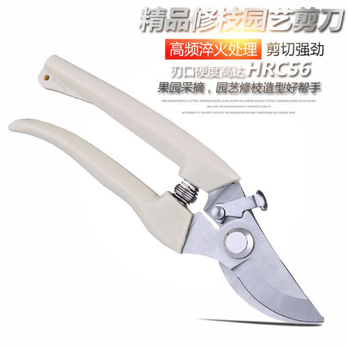 花卉园艺剪刀果树园林修枝剪家用工具手柄果枝月季花园草坪剪枝剪