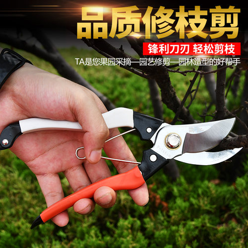 兰枝168修枝剪果树粗树剪园艺剪刀园林工具花剪刀修剪树枝剪刀