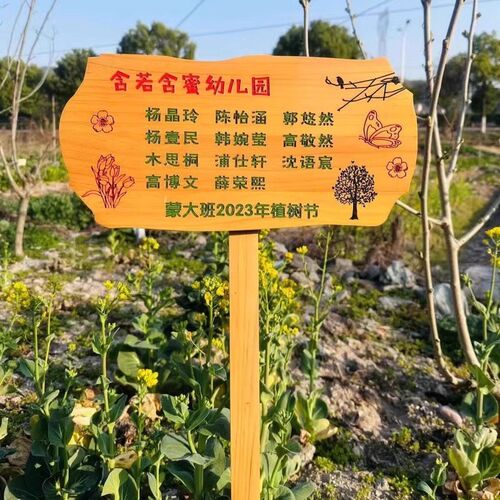定制菜地花草幼儿园菜园种植花园装饰插地木质提示标识牌木牌户外