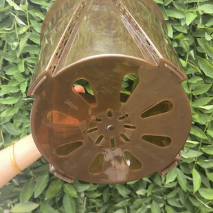 高透明青山观控根蝴蝶兰花盆塑料透气镂空热绿植蔓绿绒盆家用大号