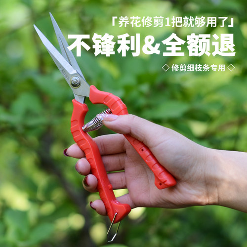 园艺剪刀修枝剪采果剪家用尖头细枝条花剪月季花专用树枝剪修枝剪