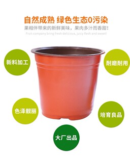 90种植杯育苗杯100个双色盆底部透气软塑花盆鱼菜共生系统配套用
