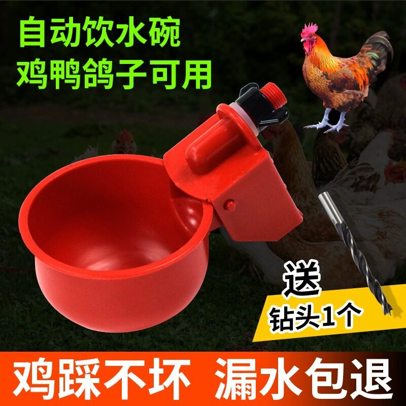养鸡用自动饮水器鸡鸭鹅饮水碗鸽子喝水壶鹌鹑家禽鸟小鸡喂鸡 - 实物图