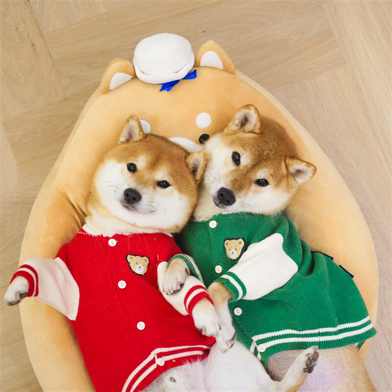 狗狗秋冬厚衣服柴犬毛衣保暖针织衫圣诞新年喜庆拜年装泰迪比熊