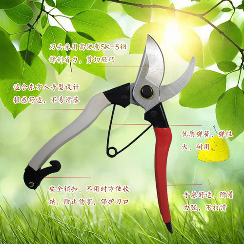 果树园林修枝剪省力锋利园艺家用德之助多功能花木修枝剪刀