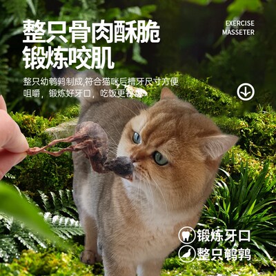 宠物零食小鹌鹑冻干零食狗狗成猫幼猫磨牙鹌鹑生骨肉袋装狗零食