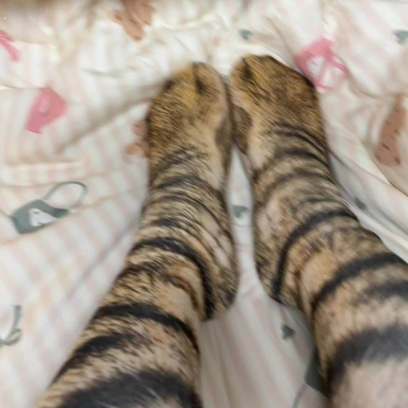 抖音同款春秋季中筒袜子猫鸡爪仿真动物爪袜情侣亲子搞怪撸猫神器