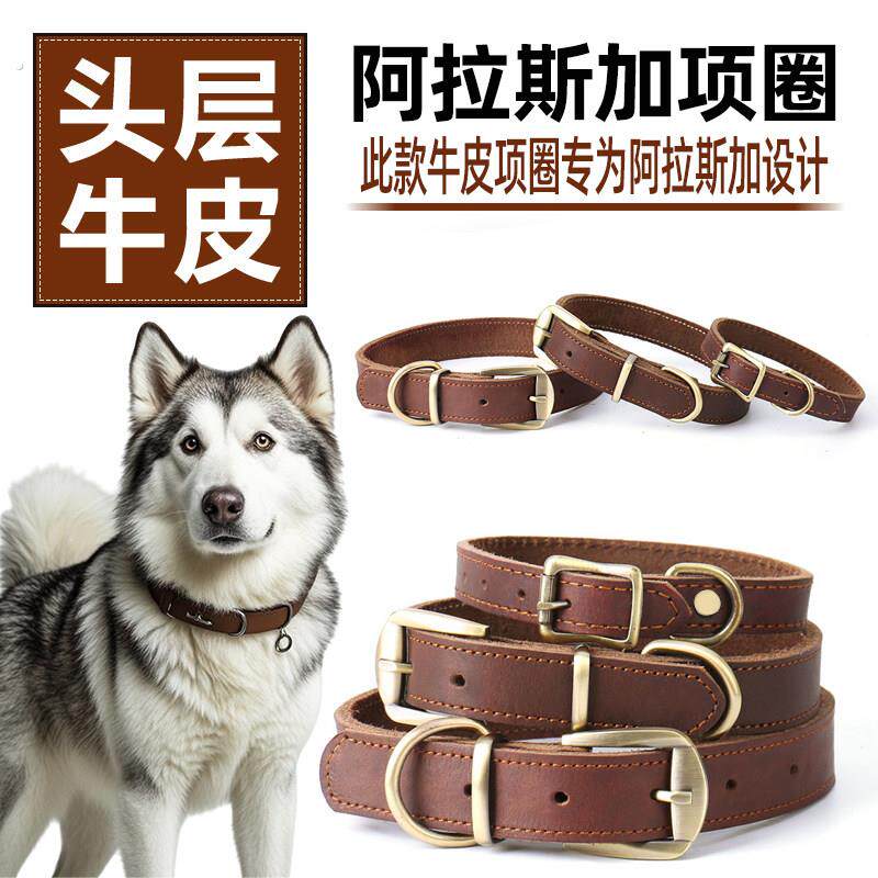 阿拉斯加真皮狗项圈脖圈脖套颈圈牵引绳牛皮定制刻字狗牌中大型犬