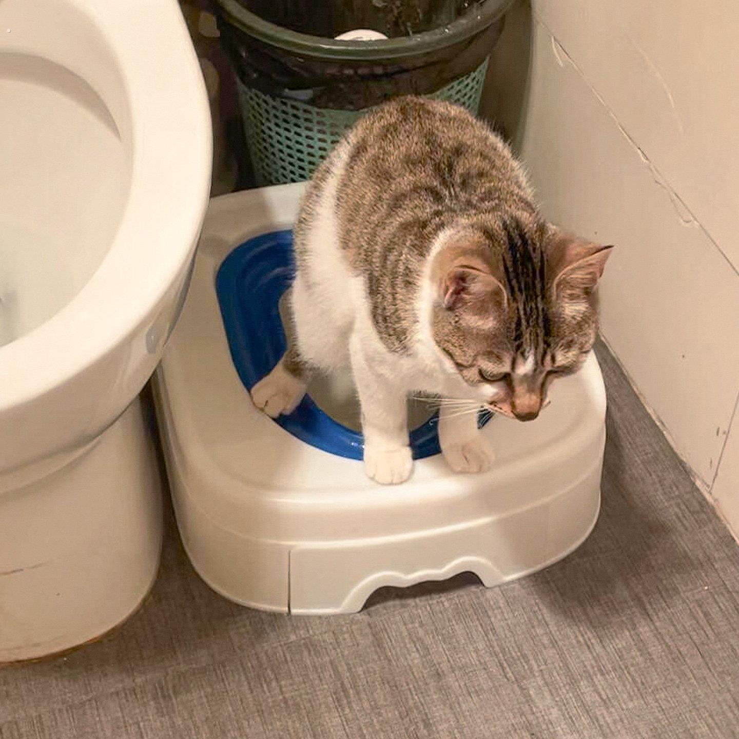 猫厕所蹲坑训练器猫如厕练习神器猫砂盆猫咪专用隔臭防溅砂屎盆
