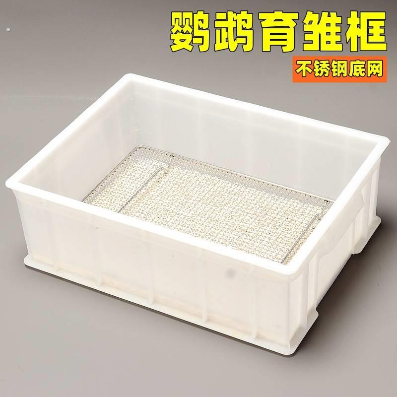 育雏饲养框不锈钢底网幼鸟幼鸟饲养盒子用品保温箱繁殖鸟站网