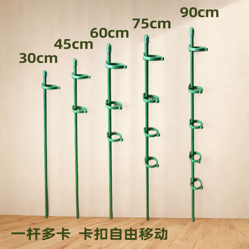 植物支撑杆防倒固定卡扣 适用爬藤龟背竹番茄花架 多肉吊兰有机玻