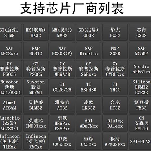 复旦微 FM33 A0 G0 L0 脱机编程器 烧录器 离线下载器 离线烧写器