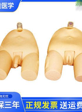 泰贵医学TG/H29E男性膀胱穿刺模型导尿冲洗注入液体解刨结构骨性