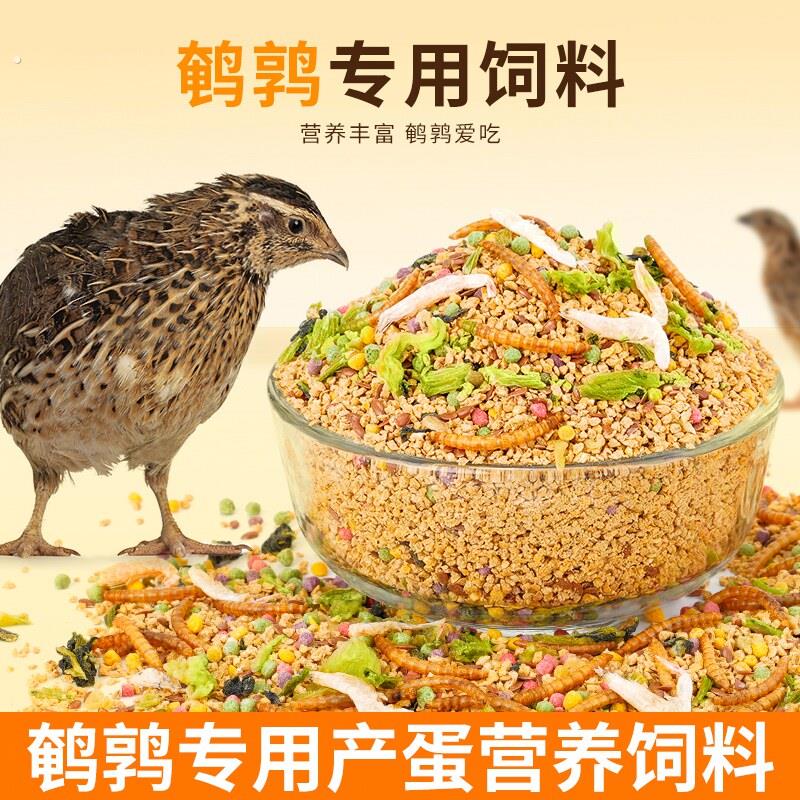 鹌鹑饲料开口产蛋粮食芦丁鸡专用粮饲料育雏粮食料小鸡全阶下蛋料