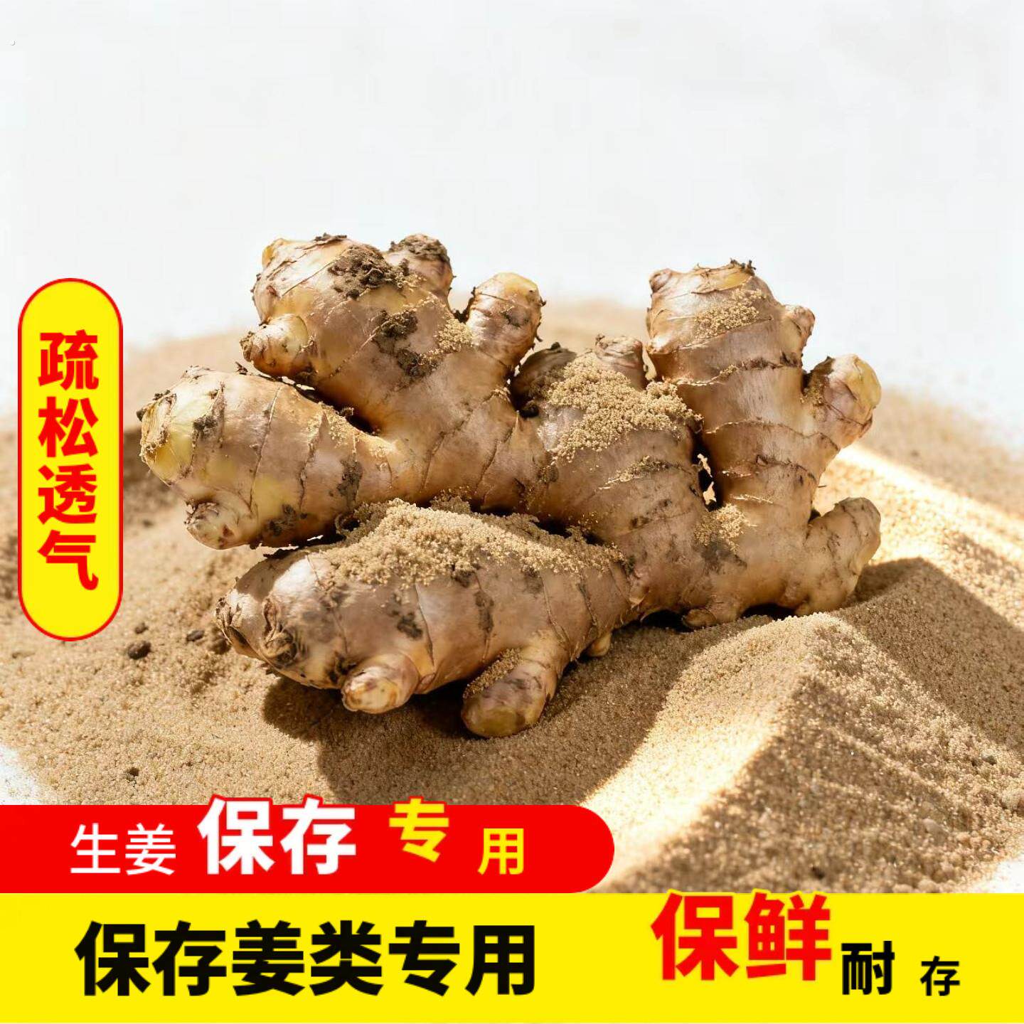 生姜保存沙大葱姜存储沙子埋存专用细沙黄沙种植土家用