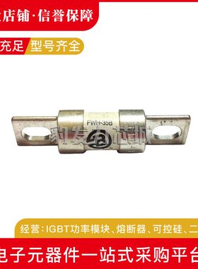 甄选FWH-35B/40B/45B/50B/60B/70B/80B/90B/100B/120B 快速熔断器