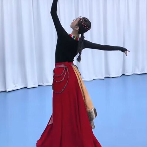藏族舞蹈演出服装广场舞大摆裙女分体少数民族蒙古成人艺考表演服