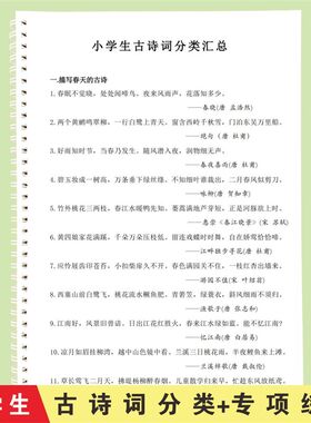 小学生语文小升初古诗词分类汇总积累归纳总结练习本