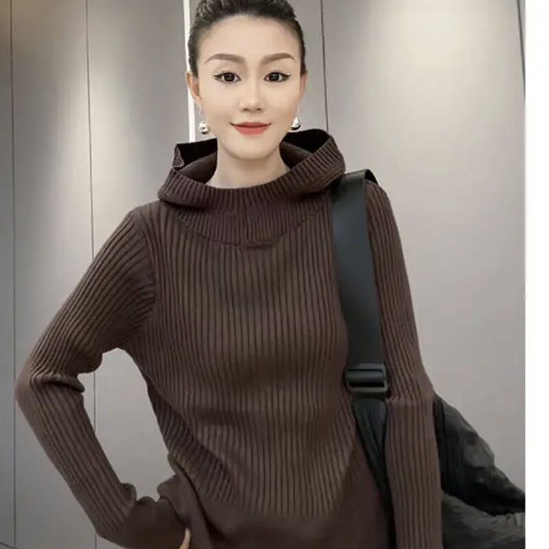 特别设计 羊毛帽衫女针织打底衫2023秋冬新款加厚连帽高领毛衣潮
