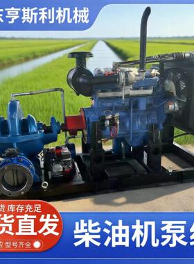 扬程柴油机泵组 防汛排涝应急抽水设备农田大面积浇灌抽水机组