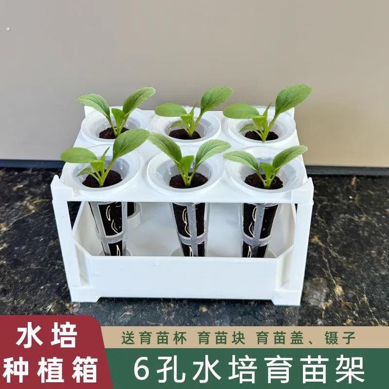植物水培架室内阳台塑料透明水培蔬菜种植无土栽培6孔水培育苗盒