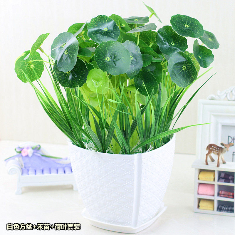 仿真塑料假花绿关铜钱叶金钱草饰栽 客厅餐厅电视柜玄植装盆盆景