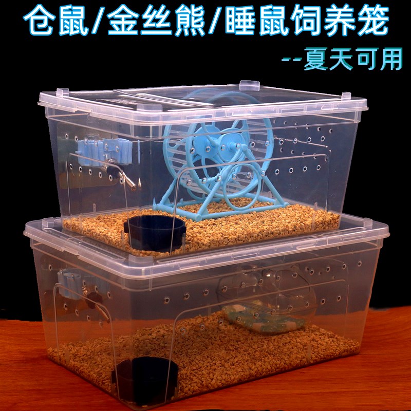 睡鼠笼子花枝鼠饲养盒透明养殖盒小仓鼠爬虫饲养盒外带笼睡鼠用品图片