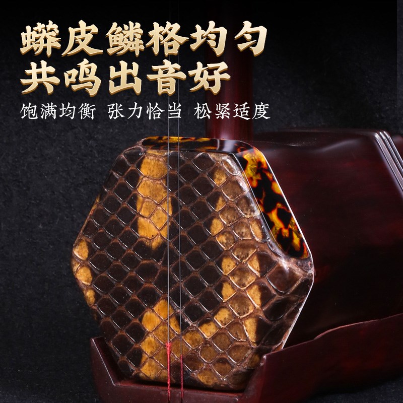 小叶紫檀二胡机械轴铜轴苏州精品二胡琴成人儿童学生初学入门乐器