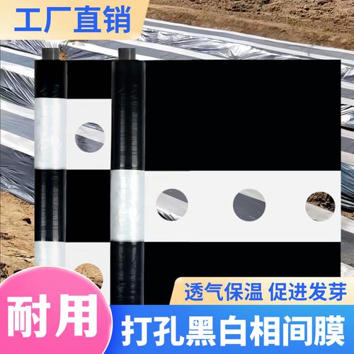 除打孔农用黑地单双白膜白双色黑白地膜免草地膜塑料薄膜保温带孔