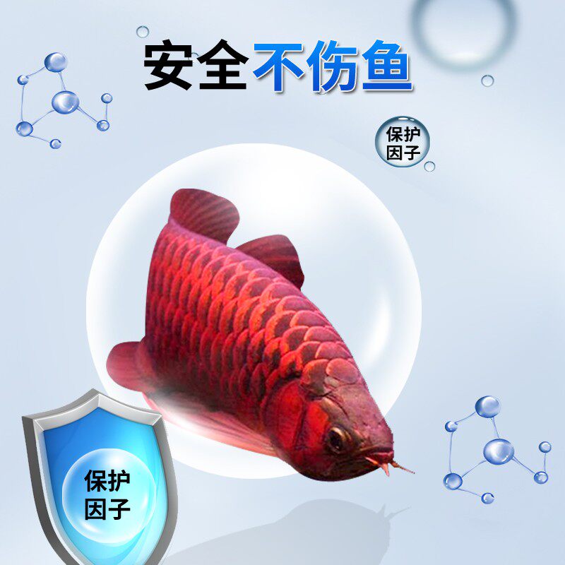 鱼缸净水剂水立清澄清鱼池水质清澈剂消毒杀菌清洁净化剂养鱼用品