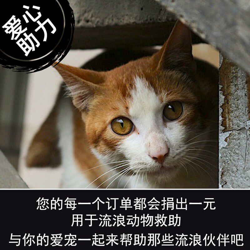 萌宠工坊宠物画像定制小猫咪狗剪影装饰挂画肖像画DIY礼物纪念品