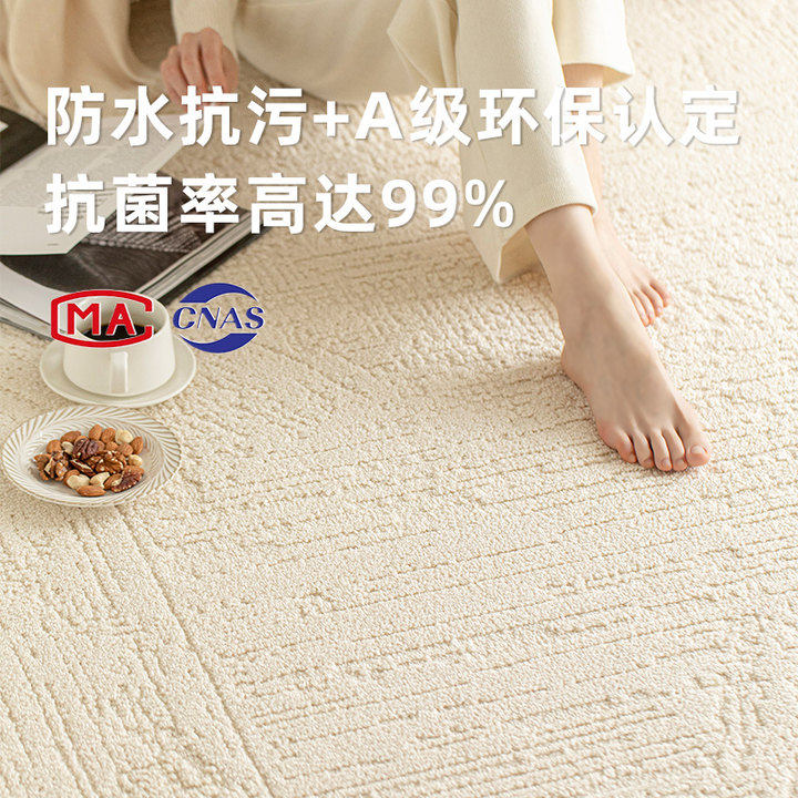 地毯客厅2024新款防水防污免洗可擦地板铺垫轻奢高级硅藻丝沙发毯
