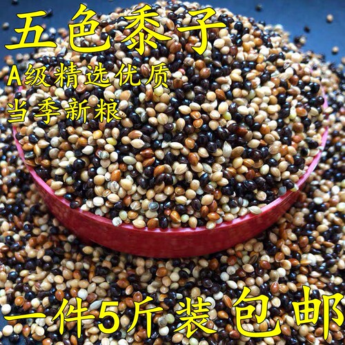 虎皮鹦鹉饲料鸟食玄凤谷子牡丹粮食文鸟黍子混合鸟粮包邮5斤包邮