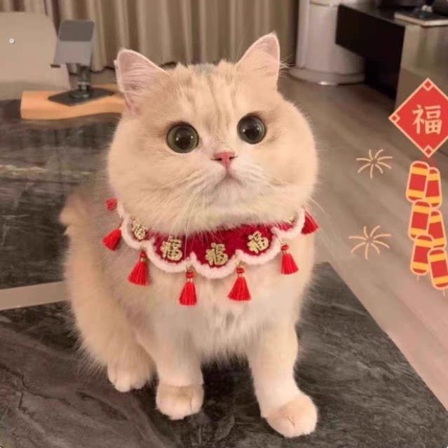 猫咪围兜口水巾猫颈圈猫咪围兜领结装饰小猫围脖宠物狗狗项圈新年