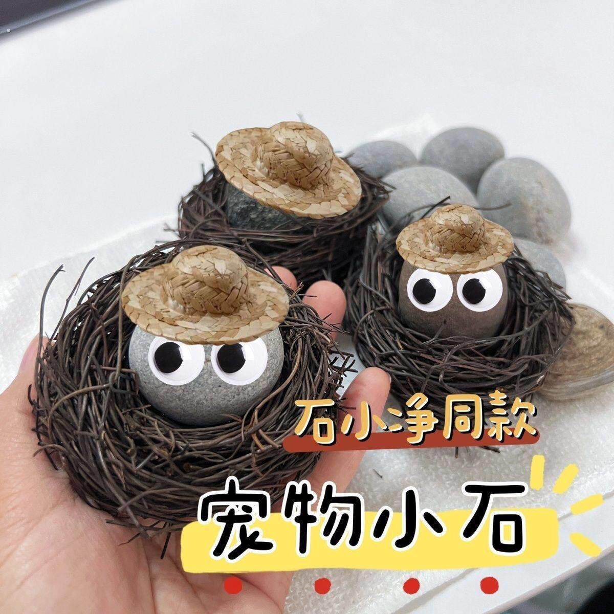 宠物石头黄人同款可爱伙伴小石头异宠石小净宿舍宠物安静网红宠物