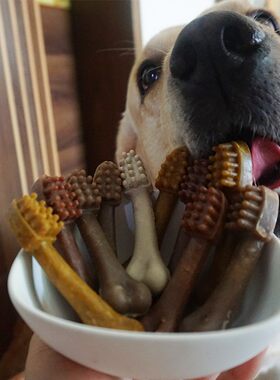 亚禾狗狗耐咬磨牙骨多拉布拉幼犬小型泰迪金毛成犬洁齿骨棒10支装