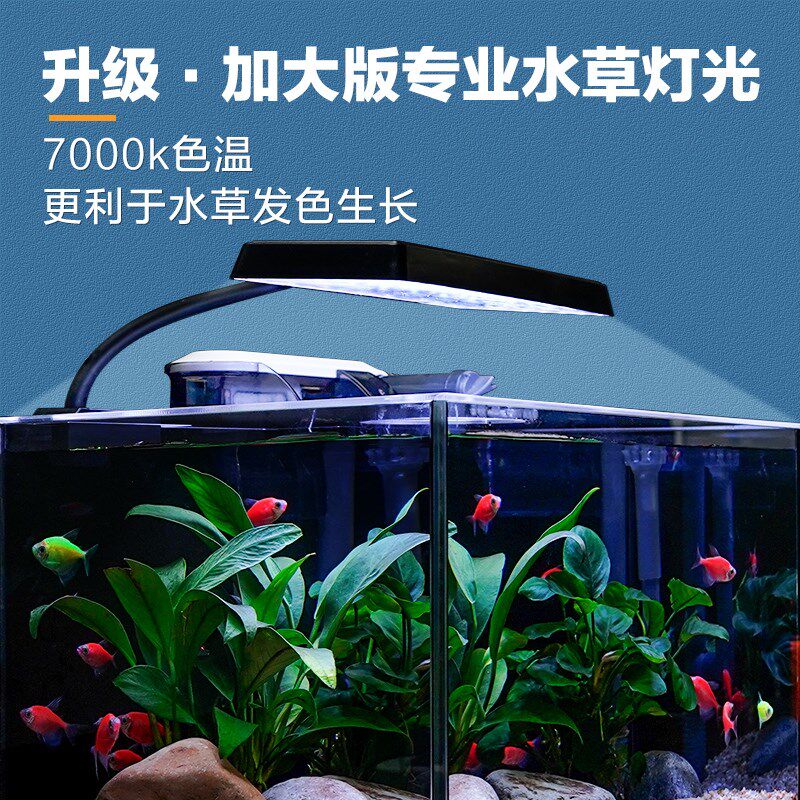 加大生态缸家用小型鱼缸超白玻璃水草缸网红款桌面水景缸溪流鱼缸