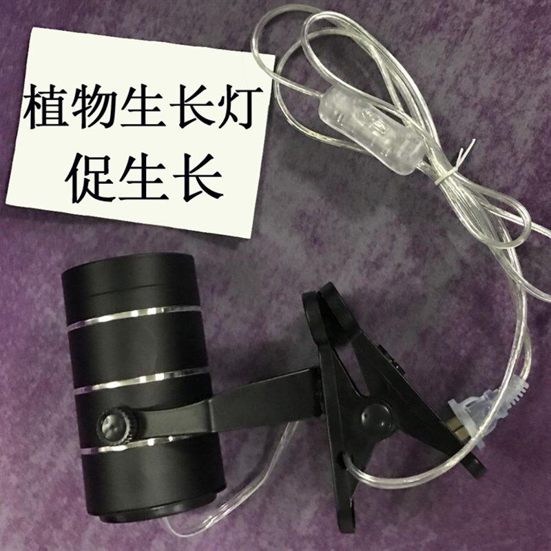 全光谱植物生长补光夹子灯发财树茎叶多肉植物花卉水草补光灯
