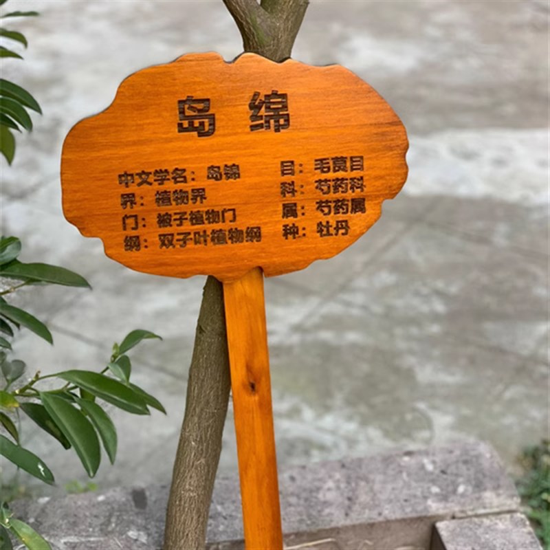 实木植物标签牌菜园幼儿园木质插地牌户外指示标识牌告示木牌园艺图片