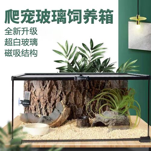 BG成体宠物蛇饲养箱爬宠玻璃饲养缸雨林造景生态缸养蛇专用饲养盒