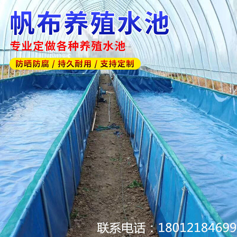 大型折叠帆布养殖鱼池大棚龙虾蚂蝗牛蛙水蛭刀刮布高密度篷布包邮