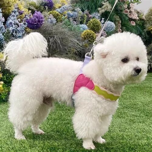 狗狗牵引绳透气背心式宠物胸背带中小型犬柯基比熊泰迪外出遛狗绳