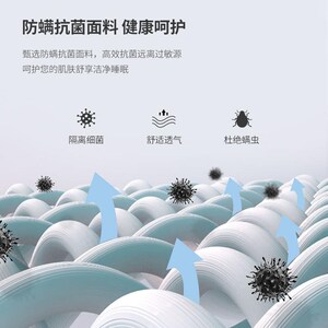 茁豪家居棕垫天然椰棕家用硬垫榻榻米床垫棕榈垫宿舍高低床配床垫