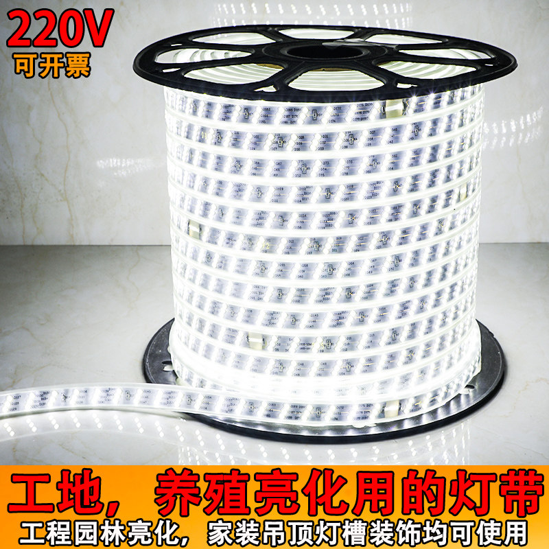 工程led灯带客厅户外超亮养殖亮化家装饰防水软灯条220v白光暖光