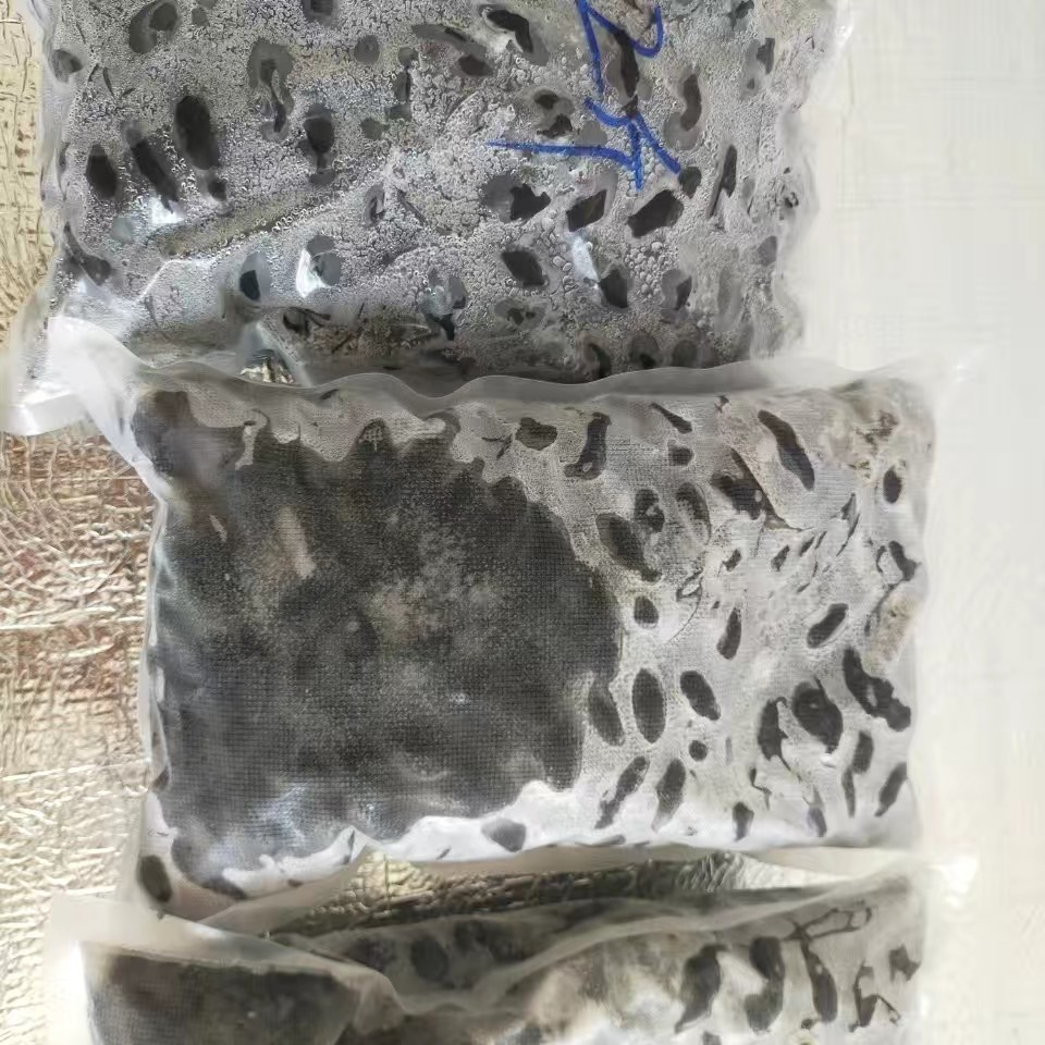 食用昆虫油炸黑龙虱和味射尿龟美味虫子水老鳖特色鳖盖虫黑壳龟虫