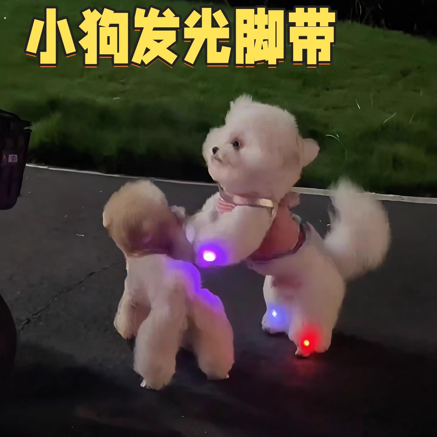 遛狗神器大型犬小型犬夜间遛狗发光灯狗狗猫咪宠物专用的遛狗夜灯