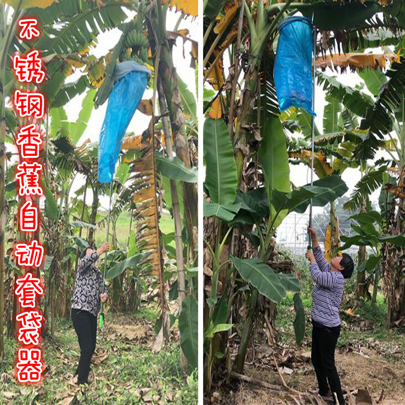 香蕉防寒套袋专用杆香蕉套袋神器香蕉种植防护套袋农业用套袋设备