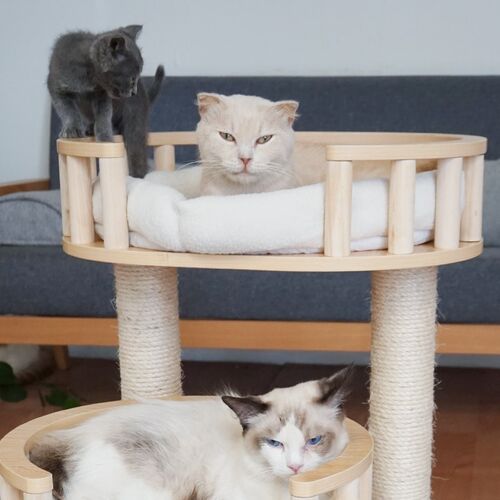 绿歌实木柱子猫爬架猫窝猫树一体四季通用剑麻猫跳台猫抓板猫别墅