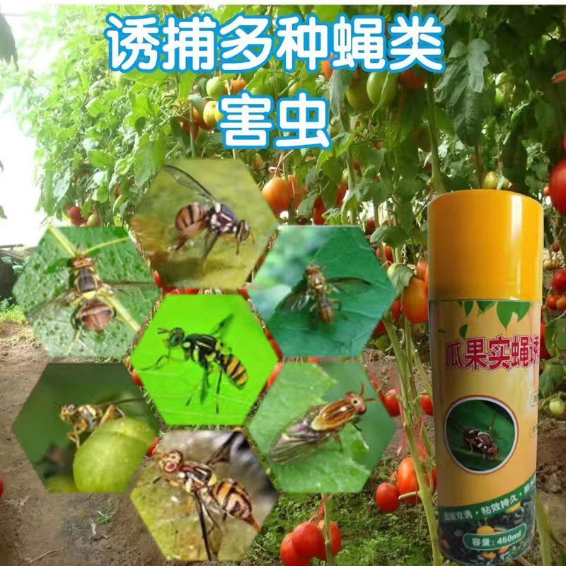 瓜果实蝇诱捕剂瓜实蝇果实蝇针蜂诱粘剂瓜果园神器大实蝇诱粘喷剂